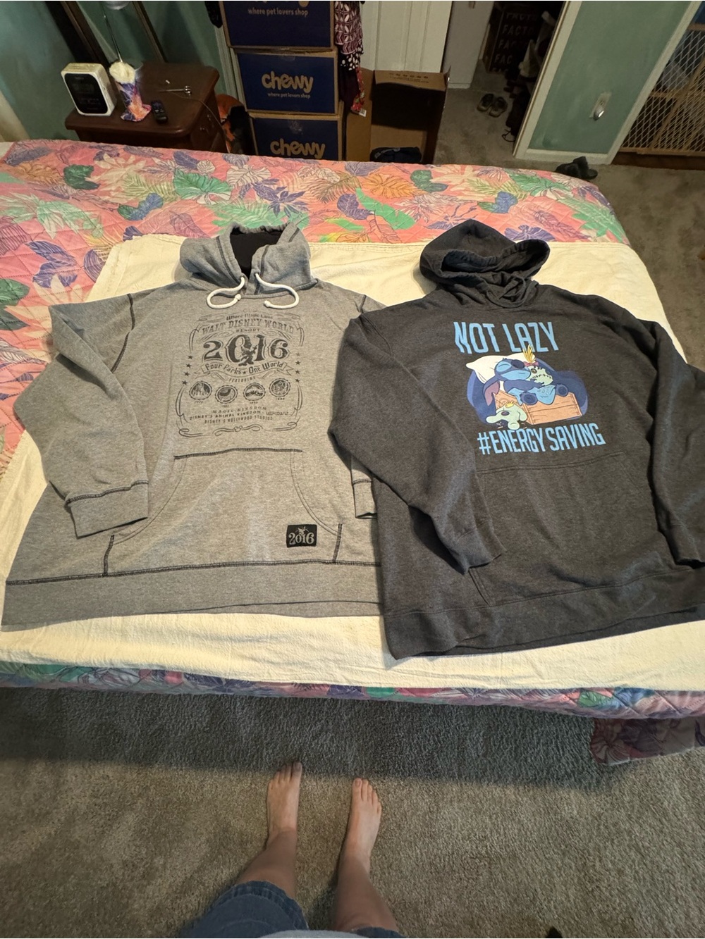 Two (2) Disney Hooded Sweatshirts